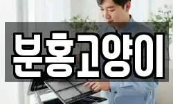 분홍고양이
