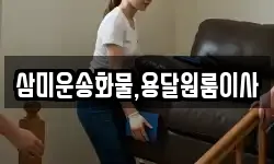 삼미운송화물,용달원룸이사