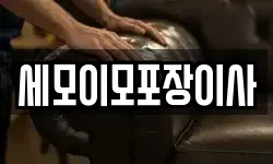 세모이모포장이사