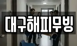 대구해피무빙