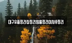 대구유품정리집정리원룸정리이사후정리