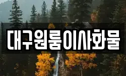 대구원룸이사화물