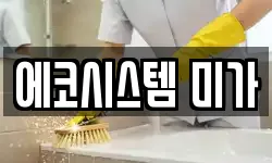 에코시스템 미가