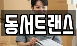 동서트랜스