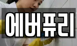 에버퓨리