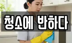 청소에 반하다