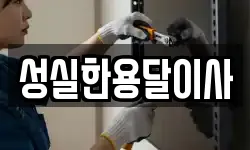 성실한용달이사