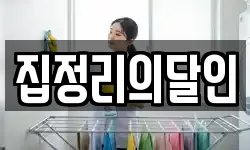집정리의달인