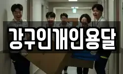 강구인개인용달