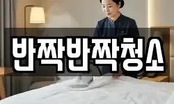 반짝반짝청소