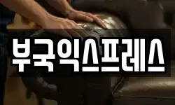 부국익스프레스