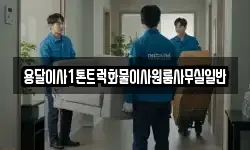 용달이사1톤트럭화물이사원룸사무실일반