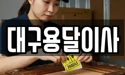 대구용달이사
