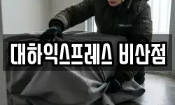 대하익스프레스 비산점