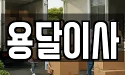 용달이사
