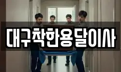 대구착한용달이사