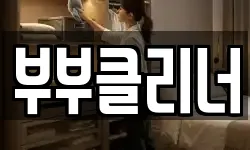 부부클리너