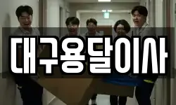 대구용달이사