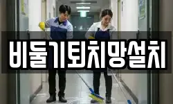 비둘기퇴치망설치