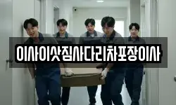 이사이삿짐사다리차포장이사