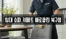 침대 소파 카페트 새로클린 북구점