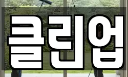 클린업