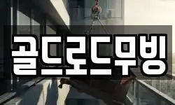 골드로드무빙