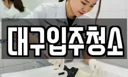 대구입주청소