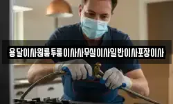 용달이사원룸투룸이사사무실이사일반이사포장이사