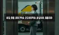 용달,화물,바이크탁송,오토바이탁송,용달이사,원룸이사