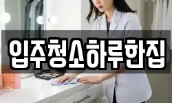 입주청소하루한집