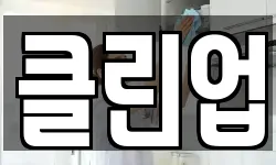 클린업