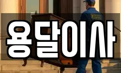 용달이사