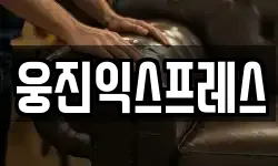웅진익스프레스