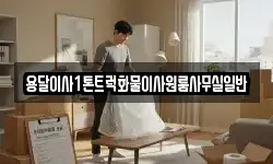 용달이사1톤트럭화물이사원룸사무실일반