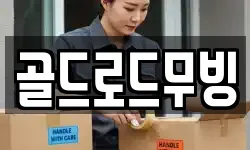 골드로드무빙