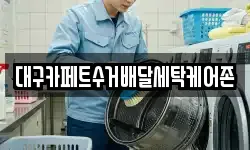 대구카페트수거배달세탁케어존