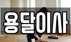 용달이사
