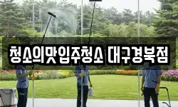 청소의맛입주청소 대구경북점