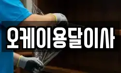 오케이용달이사