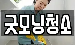 굿모닝청소
