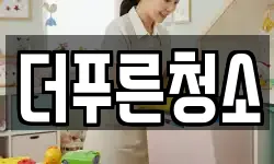 더푸른청소