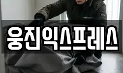 웅진익스프레스