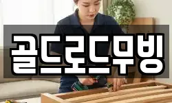 골드로드무빙