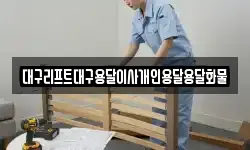 대구리프트대구용달이사개인용달용달화물