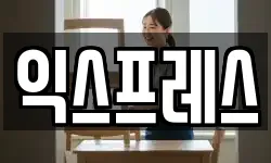 익스프레스