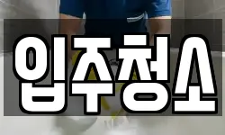 입주청소