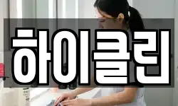 하이클린