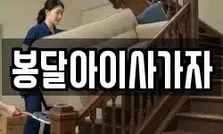 봉달아이사가자