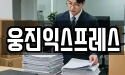 웅진익스프레스
